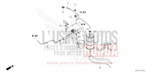 CUVETTE GL1800M de 2021